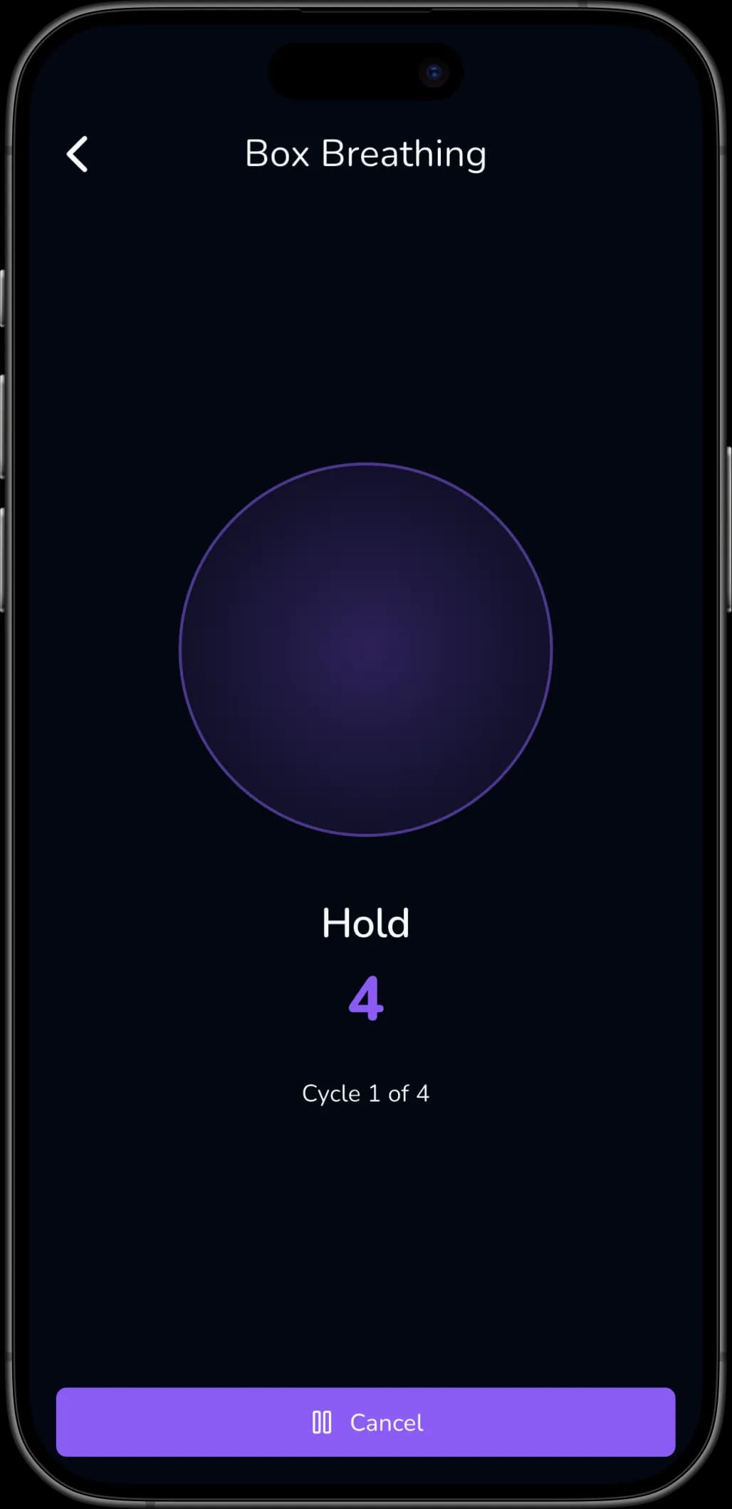 Driftly no iPhone — captura 5